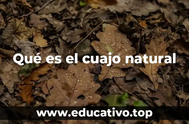 Qué es el cuajo natural