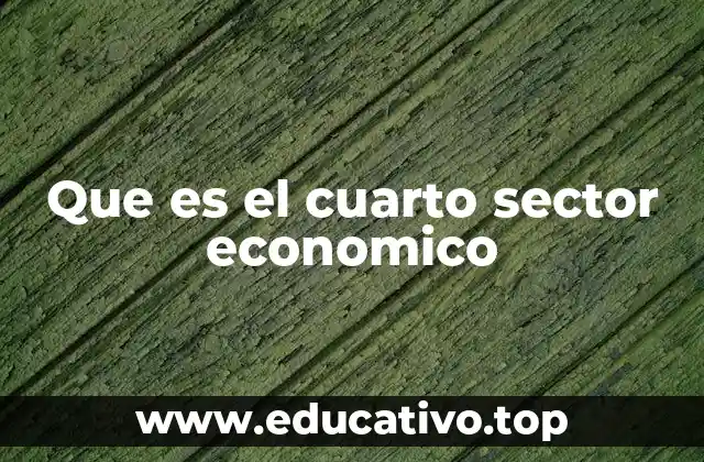 Que es el cuarto sector economico