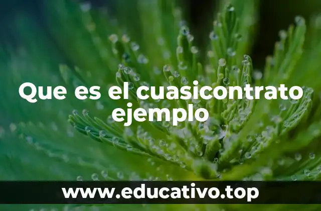 Que es el cuasicontrato ejemplo