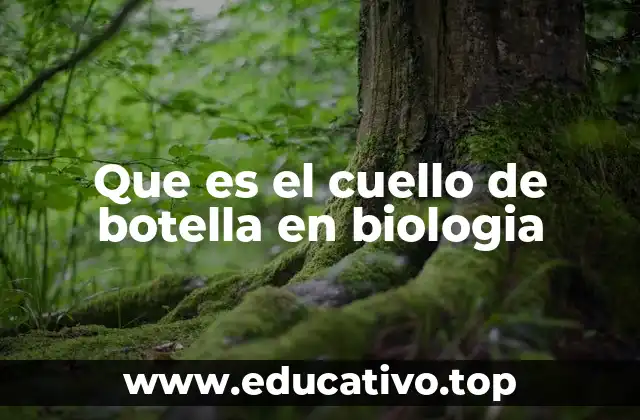 Que es el cuello de botella en biologia