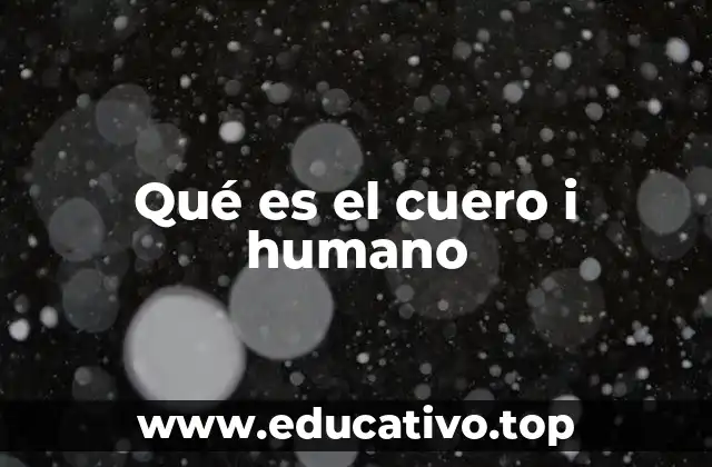 Qué es el cuero i humano