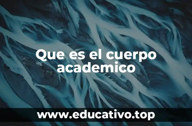 Que es el cuerpo academico