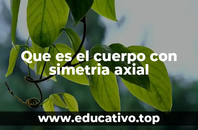 Que es el cuerpo con simetria axial