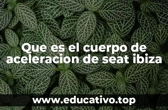 Que es el cuerpo de aceleracion de seat ibiza