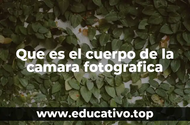Que es el cuerpo de la camara fotografica