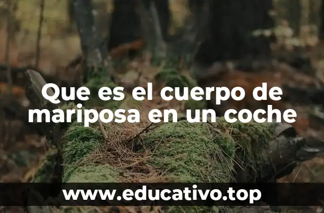 Que es el cuerpo de mariposa en un coche