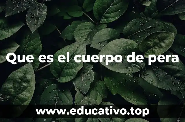 Que es el cuerpo de pera