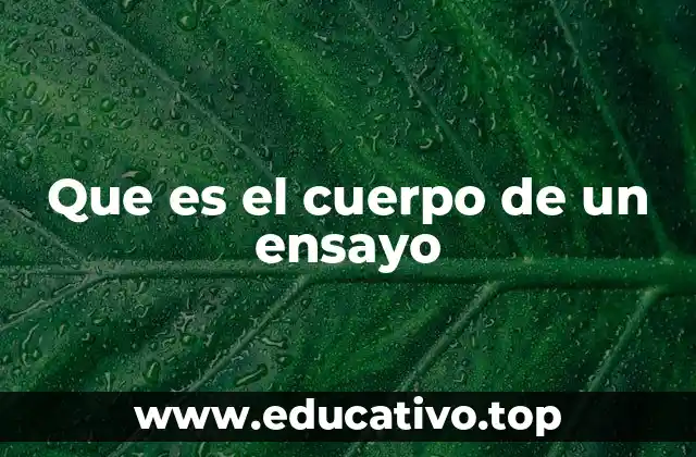 Que es el cuerpo de un ensayo