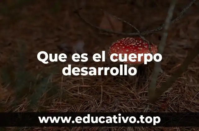 Que es el cuerpo desarrollo