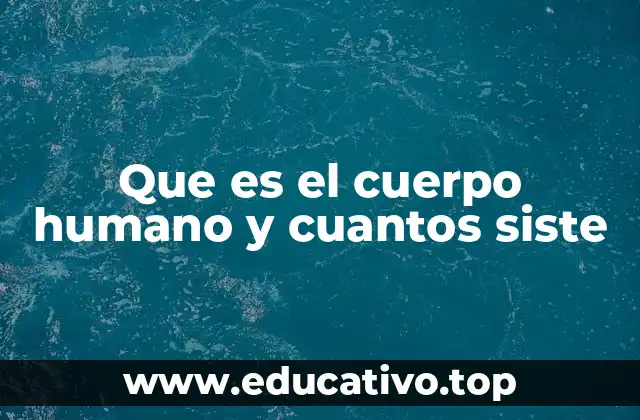 Que es el cuerpo humano y cuantos siste