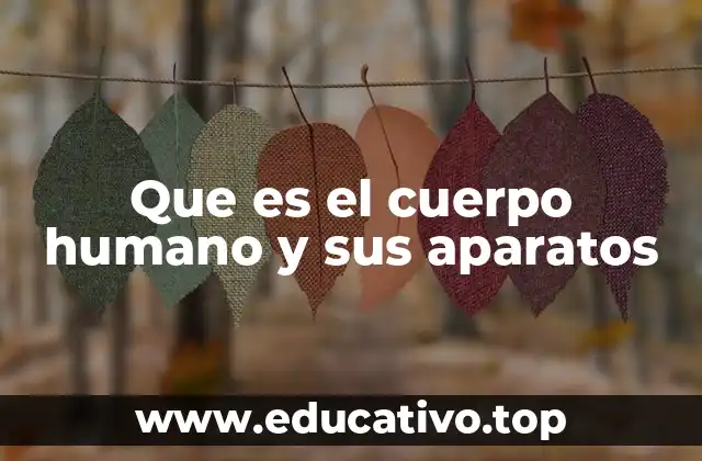 Que es el cuerpo humano y sus aparatos