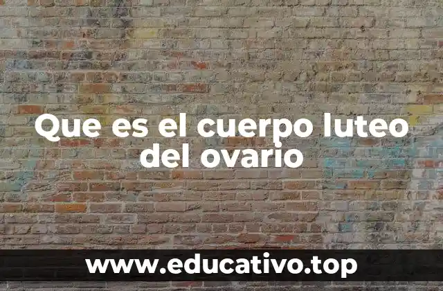 El papel del cuerpo luteo en el ciclo reproductivo