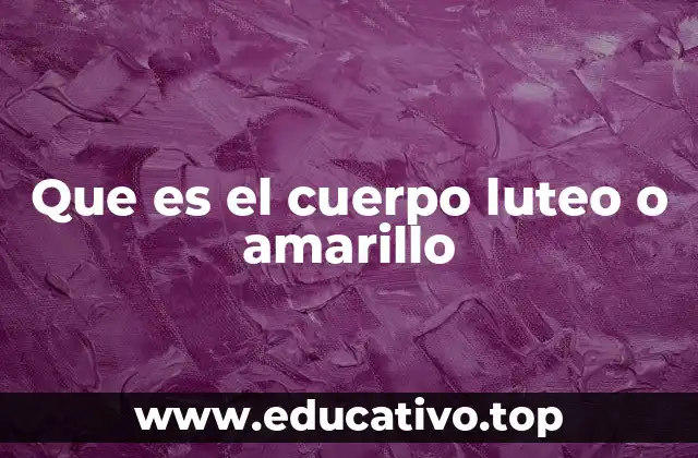 Que es el cuerpo luteo o amarillo