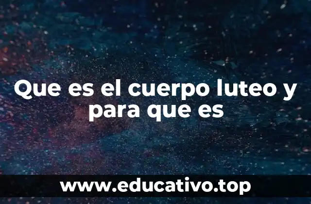 Que es el cuerpo luteo y para que es