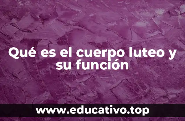 Qué es el cuerpo luteo y su función