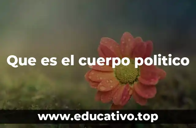 La estructura del gobierno y su relación con el cuerpo político