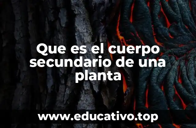 Que es el cuerpo secundario de una planta