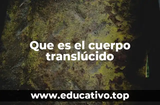 Que es el cuerpo translúcido