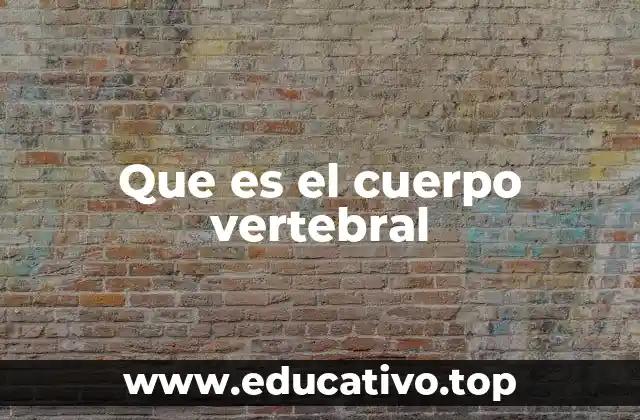 Que es el cuerpo vertebral
