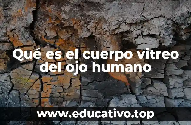 La importancia del cuerpo vitreo en la anatomía del ojo