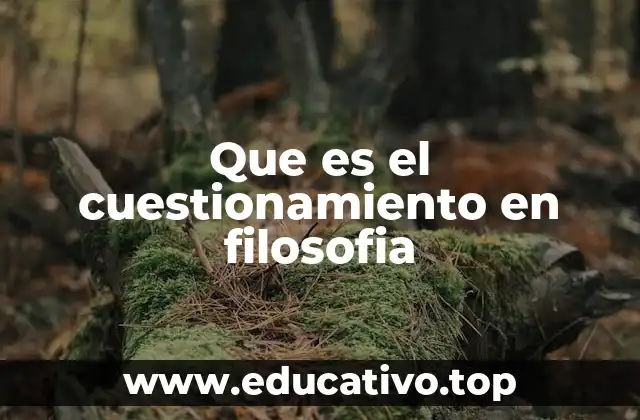 Que es el cuestionamiento en filosofia