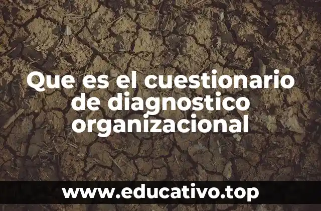 Que es el cuestionario de diagnostico organizacional
