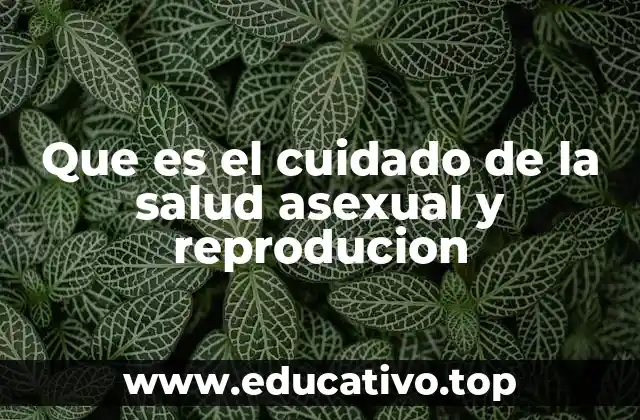 La importancia de la educación sexual como base del cuidado asexual y reproductivo
