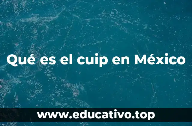 La importancia del CUIP en la vida cotidiana