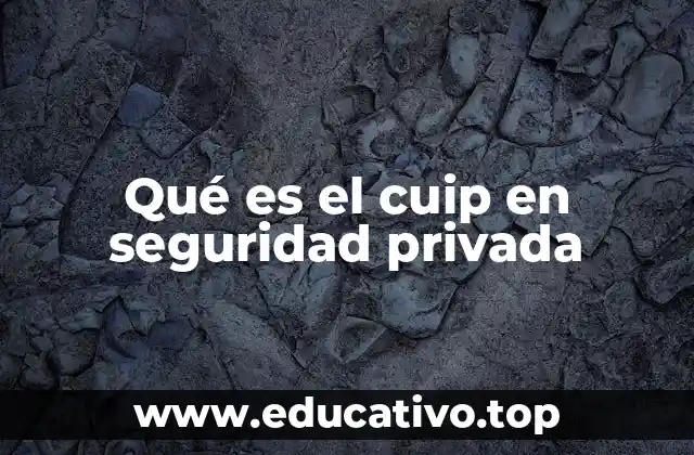Qué es el cuip en seguridad privada