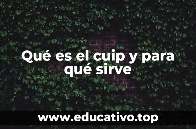 Qué es el cuip y para qué sirve