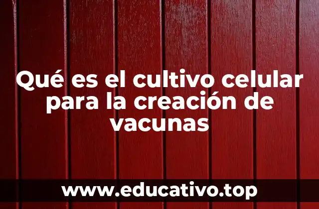 Qué es el cultivo celular para la creación de vacunas