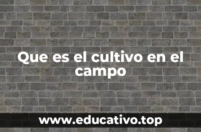 La importancia del cultivo en la producción rural