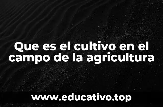 Que es el cultivo en el campo de la agricultura