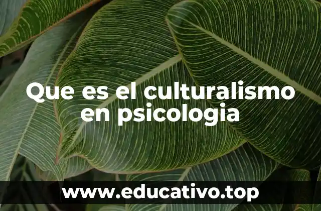 Que es el culturalismo en psicologia