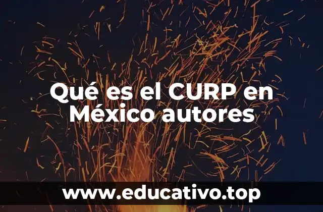 Qué es el CURP en México autores