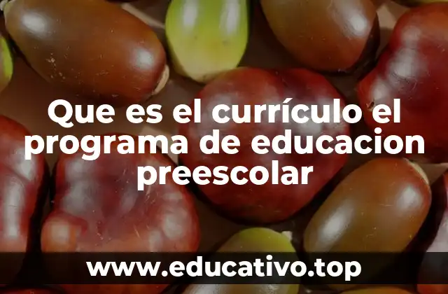 Que es el currículo el programa de educacion preescolar