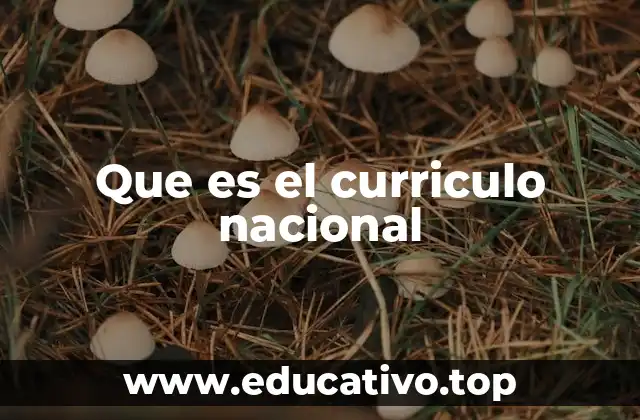 Que es el curriculo nacional