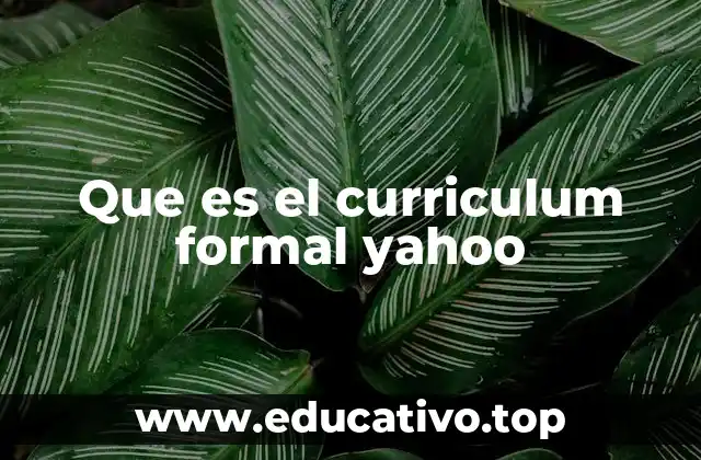Que es el curriculum formal yahoo