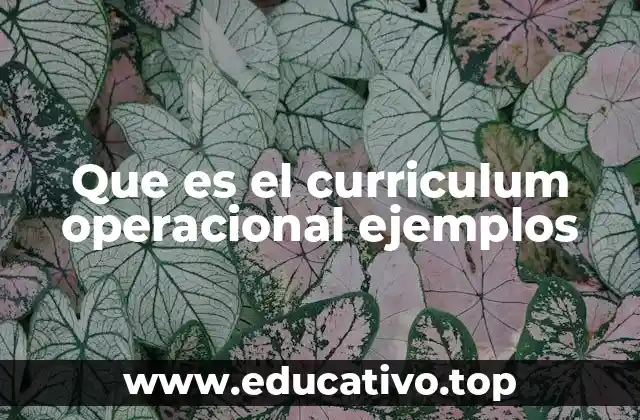 Que es el curriculum operacional ejemplos