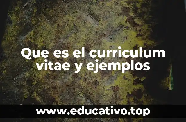 Que es el curriculum vitae y ejemplos