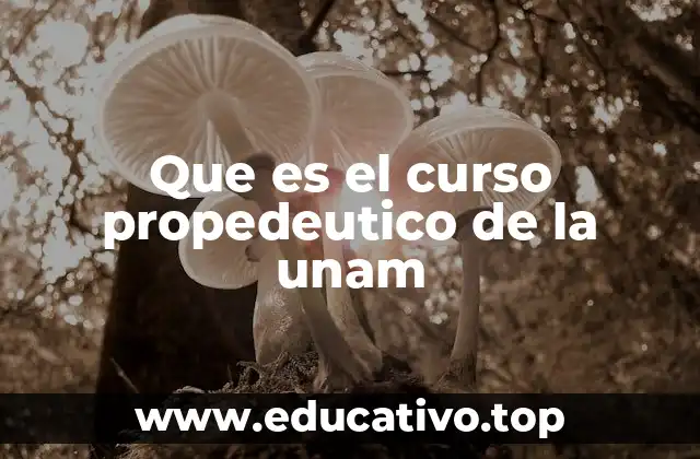 Que es el curso propedeutico de la unam