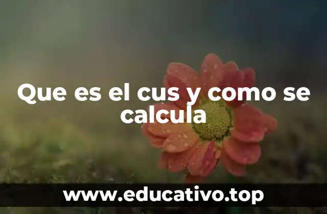 Que es el cus y como se calcula