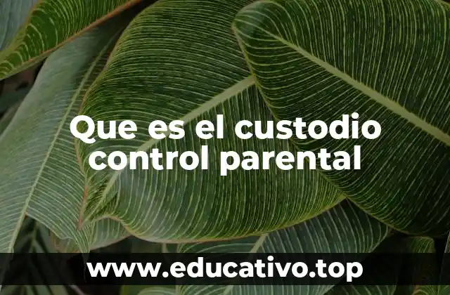 Cómo el control parental ayuda a los padres en la crianza digital