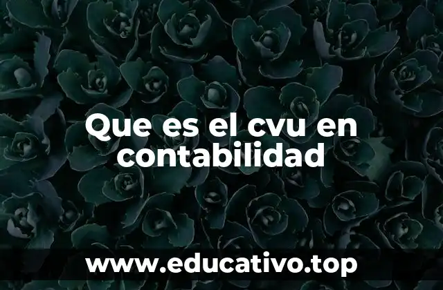 Que es el cvu en contabilidad