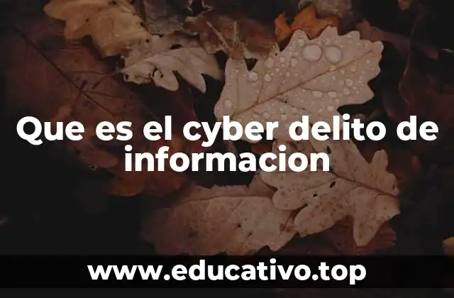 Que es el cyber delito de informacion