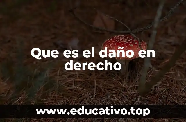 Que es el daño en derecho