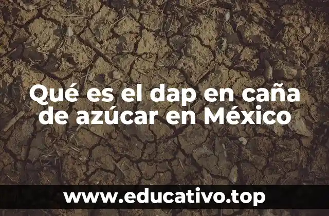 Qué es el dap en caña de azúcar en México