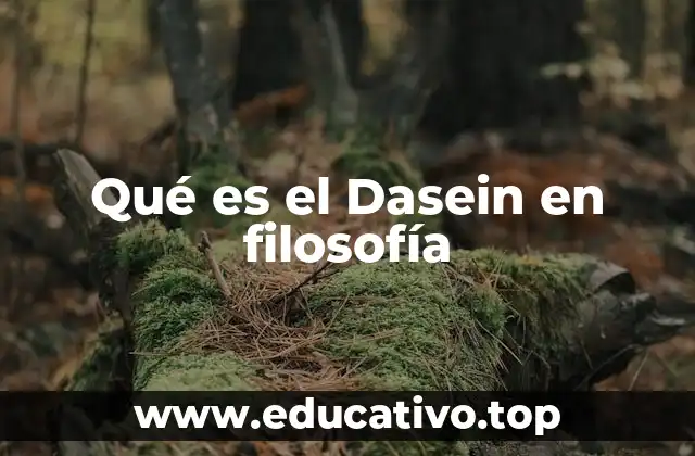 Qué es el Dasein en filosofía
