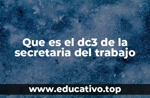 Que es el dc3 de la secretaria del trabajo
