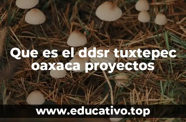Que es el ddsr tuxtepec oaxaca proyectos